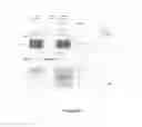 Fig. 48 - Electrical circuit for delivering power to consumer electronic devices
