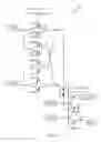 Fig. 19 - Phase shifting mixer