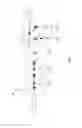 Fig. 02 - Broadband radio frequency power amplifiers, and methods of manufacture thereof