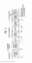 Fig. 02 - Method for transceiving data symbol using antenna correlation in wireless access system which supports massive antenna