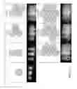Fig. 101 - Application of orbital angular momentum to Fiber, FSO and RF