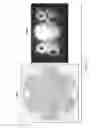 Fig. 91 - Application of orbital angular momentum to Fiber, FSO and RF