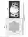 Fig. 94 - Application of orbital angular momentum to Fiber, FSO and RF