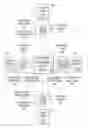 Fig. 01 - Self-describing error correction of consolidated media content