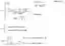 Fig. 02 - Method of transmitting and receiving ACK/NACK signal and apparatus thereof