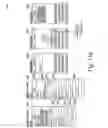 Fig. 11 - ANONYMOUS MOBILE GROUP COMMUNICATIONS