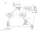 Fig. 01 - Method, device and system for user authentication