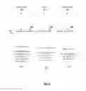 Fig. 04 - Scalable multiple VLAN multi-tenant networking