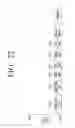 Fig. 31 - Transmitting apparatus and signal processing method thereof