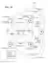 Fig. 34 - Predictive toll-free number search