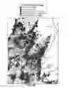 Fig. 08 - OPERATIONS METHOD FOR PROVIDING WIRELESS COMMUNICATION SERVICES