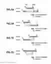Fig. 08 - Imaging apparatus for preset touring for tour-route setting