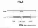 Fig. 10 - Imaging apparatus for preset touring for tour-route setting