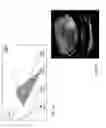 Fig. 07 - Wide-scale terrestrial light-field imaging of the sky