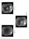 Fig. 13 - Wide-scale terrestrial light-field imaging of the sky