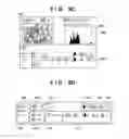 Fig. 19 - Image capturing apparatus capable of automatically switching from reproduction mode to shooting mode and displaying live view image and control method thereof