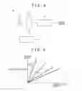 Fig. 07 - Solid-state imaging device and electronic apparatus