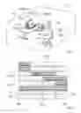Fig. 02 - METHOD FOR RECORDING AND PROCESSING AT LEAST ONE VIDEO SEQUENCE COMPRISING AT LEAST ONE VIDEO TRACK AND A SOUND TRACK