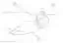 Fig. 01 - VIRTUAL REALITY UNDERWATER MASK