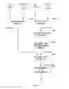 Fig. 11 - Encoding and decoding methods for adapting the average luminance of high dynamic range pictures and corresponding encoder and decoder