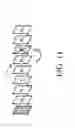 Fig. 12 - Video decoding method/device of detecting a missing video frame
