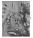 Fig. 03 - Limited error raster compression