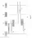 Fig. 08 - GENERATING A RESPONSE TO VIDEO CONTENT REQUEST INCLUDING DYNAMICALLY PROCESSED VIDEO CONTENT