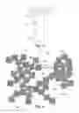 Fig. 03 - LOUDSPEAKER SYSTEM WITH IMPROVED SOUND