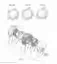 Fig. 04 - In-ear hearing device and broadcast streaming system
