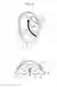 Fig. 03 - Headphone