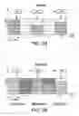 Fig. 04 - TELECOMMUNICATIONS NETWORKS