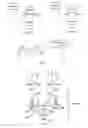 Fig. 05 - RAN-controlled selective handover between first and second RAN:S