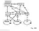 Fig. 14 - Short message transmission and handover procedures
