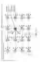 Fig. 18 - Single frequency data network