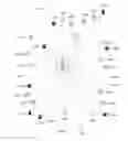 Fig. 02 - Extended access barring