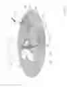 Fig. 02 - Communication system