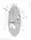 Fig. 09 - Communication system