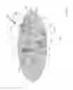 Fig. 12 - Communication system