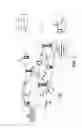 Fig. 02 - Hybrid automatic repeat/request (HARQ) reliability in wireless communications