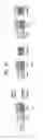 Fig. 18 - Method for avoiding transmitting MAC PDU having padding only in a D2D communication system and device therefor