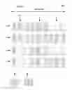 Fig. 08 - Device to-device (D2D) transmit behavior