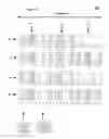 Fig. 09 - Device to-device (D2D) transmit behavior