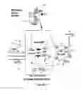 Fig. 06 - Viral molecular network architecture and design