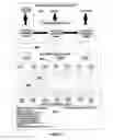 Fig. 12 - Viral molecular network architecture and design