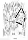 Fig. 15 - Viral molecular network architecture and design