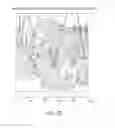Fig. 06 - Plasma Treated Susceptor Films