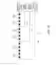 Fig. 17 - Light source substrate, display apparatus, and light source substrate inspection method