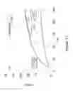 Fig. 16 - Apparatus and methods for optics protection from debris in plasma-based light source