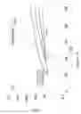 Fig. 17 - Apparatus and methods for optics protection from debris in plasma-based light source