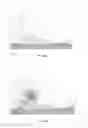 Fig. 09 - Toroidal plasma systems